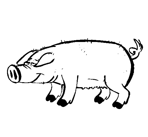 Dibuix Porc amb peülles negres  pintat per LAURA