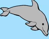 Dibuix Dofí content pintat per gerard_ponts