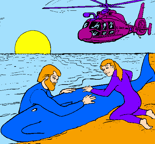 Rescat de balena