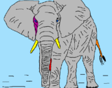 Dibuix Elefant pintat per marin.,,k,llllllllllllla 