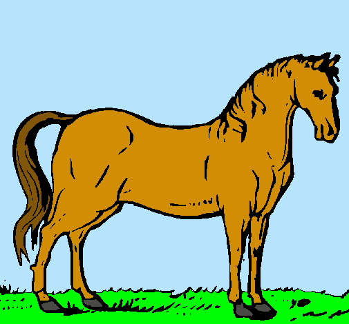 Cavall andalús 