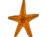 Dibuix Estrella de mar pintat per hola
