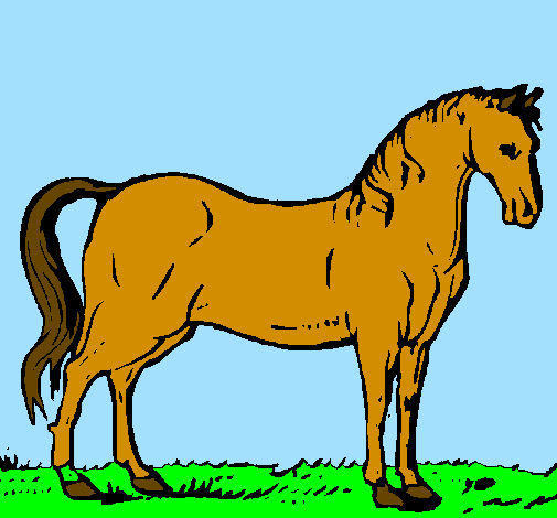 Cavall andalús 