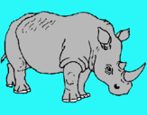 Dibuix Rinoceront pintat per pere