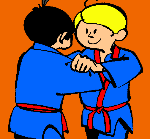 Judo amistós