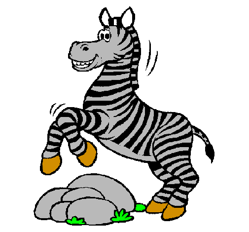 Zebra saltant pedres