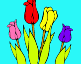 Dibuix Tulipes pintat per berta  marti  rodriguez  