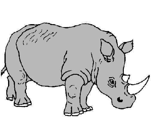 Dibuix Rinoceront pintat per joan