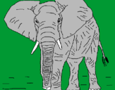 Dibuix Elefant pintat per ARNAU.L.O