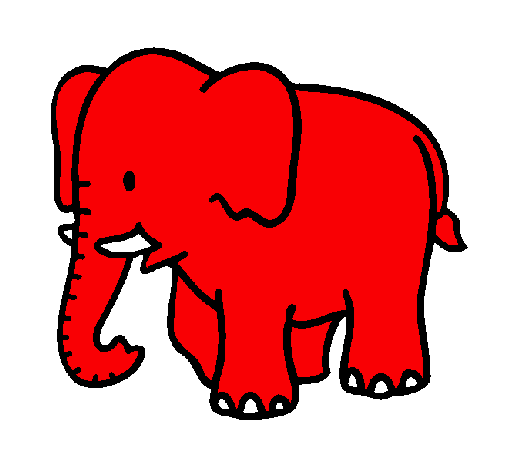 Elefant bebè