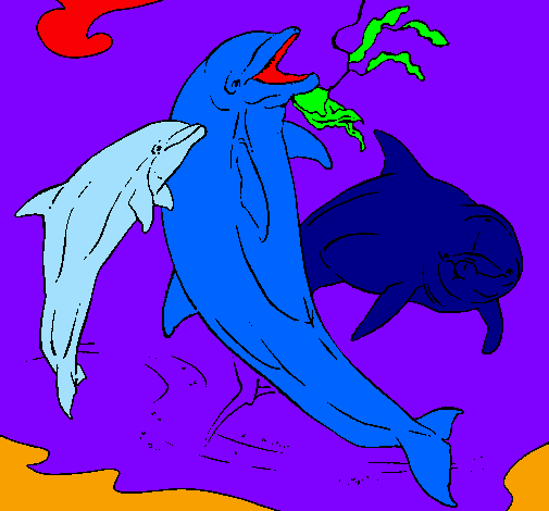 Dofins jugant