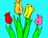 Dibuix Tulipes pintat per danesa