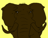 Dibuix Elefant africà pintat per carolina