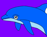 Dibuix Dofí pintat per marta