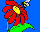 Dibuix Margarida amb abella pintat per eduard