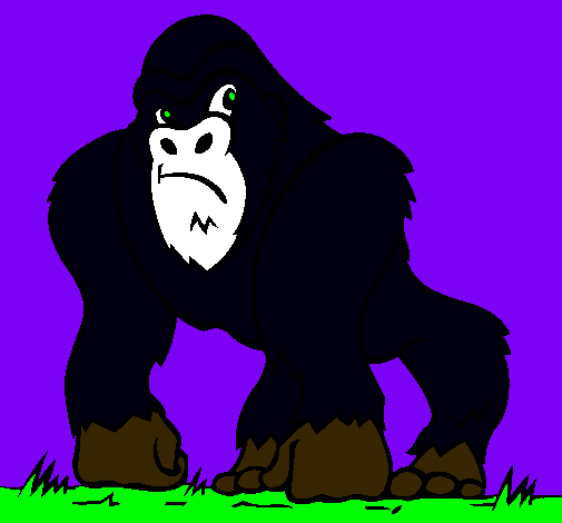 Goril·la