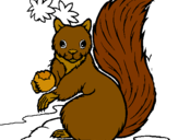 Dibuix Esquirol pintat per marta21