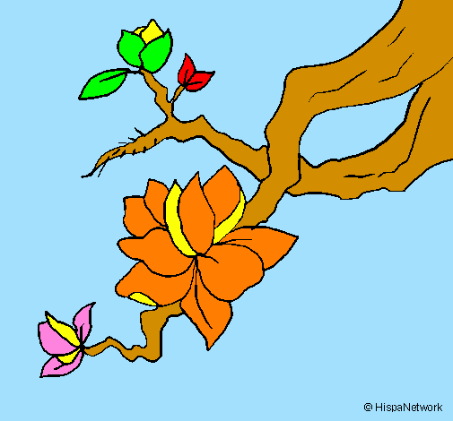 Dibuix Flor d'ametller pintat per sandrahomspicañol