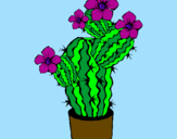 Dibuix Flors de cactus pintat per katia v p