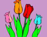 Dibuix Tulipes pintat per SEERAT FATIMA