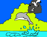 Dibuix Dofí i gavina pintat per laia