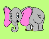 Dibuix Elefant petit pintat per laura