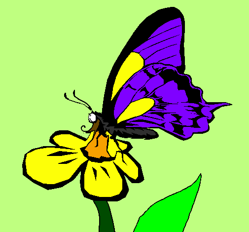 Papallona en una flor 