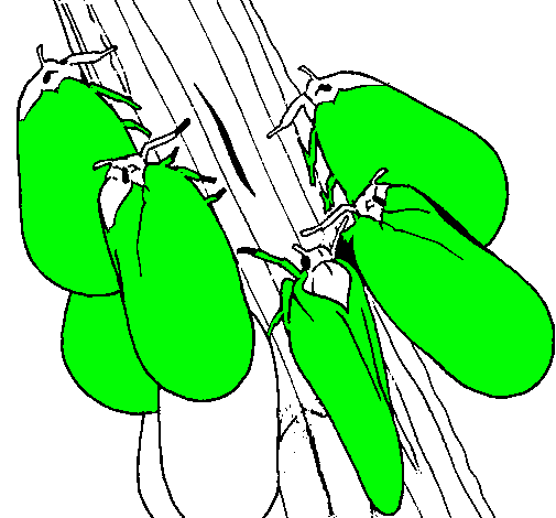 Insectes en un tronc 