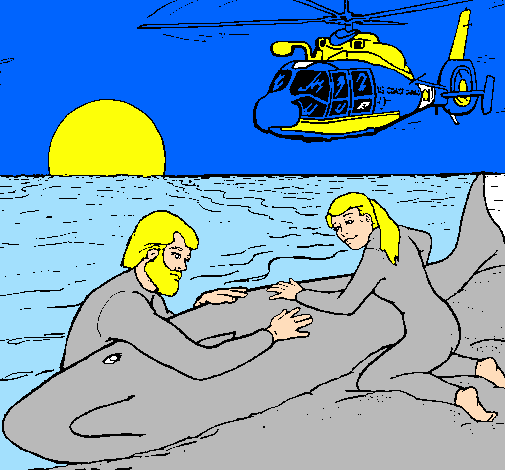 Rescat de balena