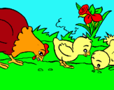 Dibuix Gallina i pollets pintat per marçal vizcaino