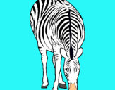 Dibuix Zebra pintat per Hebe