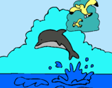 Dibuix Dofí i gavina pintat per johanita 11