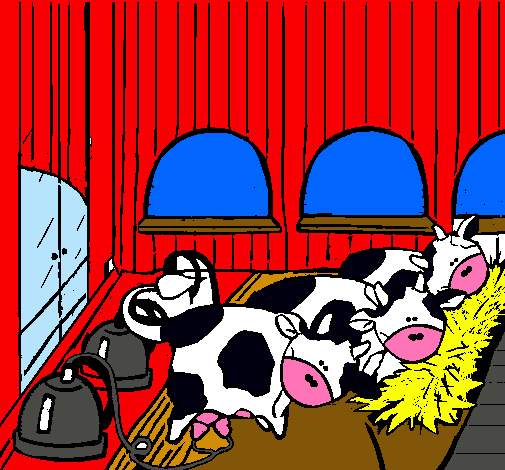 Vacas en l'estable 