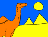 Dibuix Camell pintat per JOAN