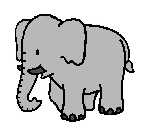 Elefant bebè