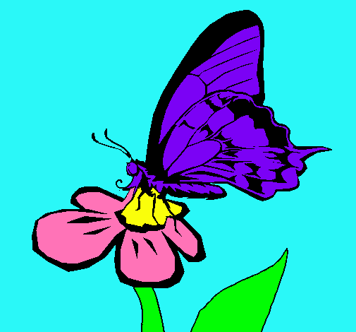 Papallona en una flor 