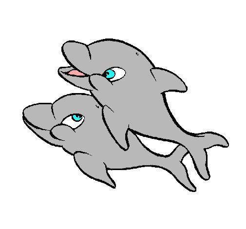 Dofins