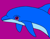 Dibuix Dofí pintat per MAR