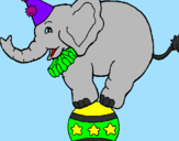 Dibuix Elefant sobre una pilota pintat per berta camprubi