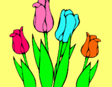 Dibuix Tulipes pintat per Fiona