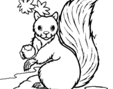 Dibuix Esquirol pintat per somriure