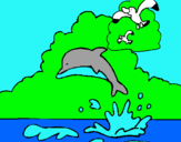 Dibuix Dofí i gavina pintat per oicor