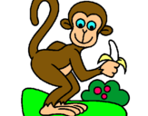 Dibuix Mono pintat per clara solsona