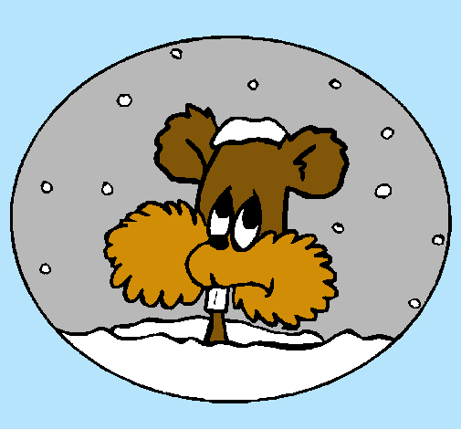 Esquirol en bola de neu