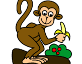 Dibuix Mono pintat per mono manjant platant