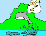 Dibuix Dofí i gavina pintat per Tere
