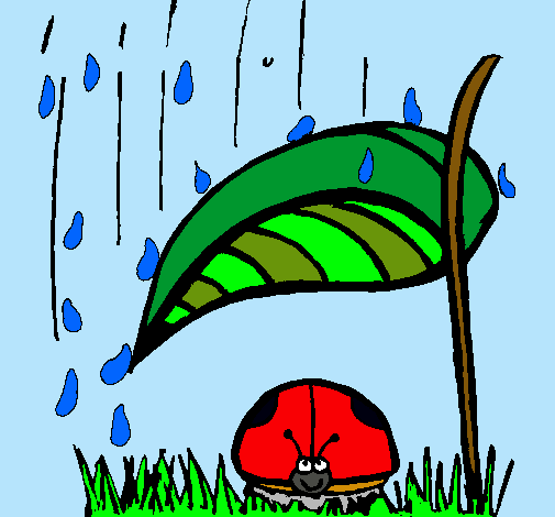 Marieta de set punts protegida de la pluja 
