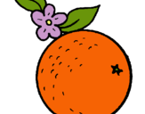 Dibuix taronja pintat per taronja