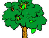 Dibuix Arbre pintat per arbre