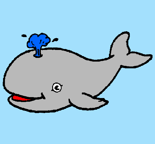 Balena expulsant aigua